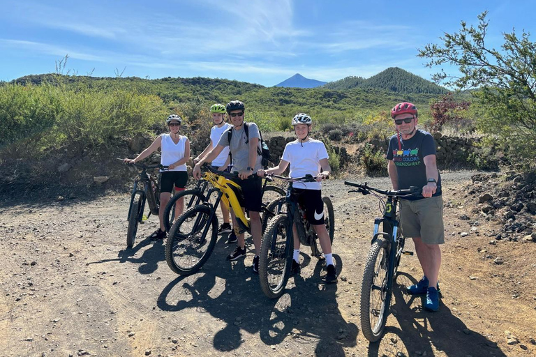 Tenerife: premium e-bike ride at Chineyro volcanic area