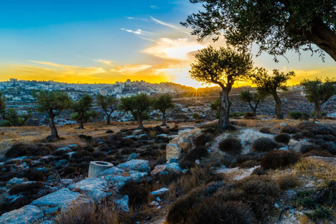 Bethlehem & Church of the Nativity Tour From Tel Aviv English