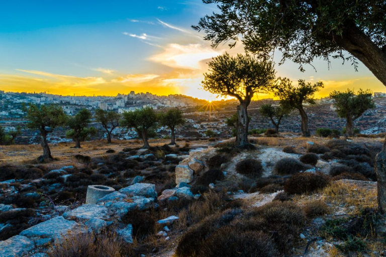Bethlehem & Church of the Nativity Tour From Tel Aviv English
