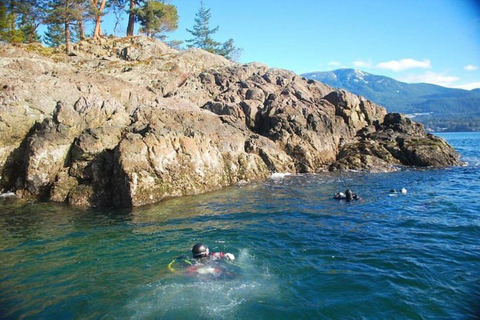 Vancouver: Scubabootduik in Horseshoe Bay