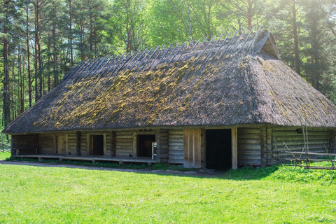 Skip-the-Line Estonian Open Air Museum Private Guided Tour 2-hour: Estonian Art Museum Tour