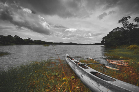 From Colombo or Kandy: Sigiriya Rock Fortress Day Tour