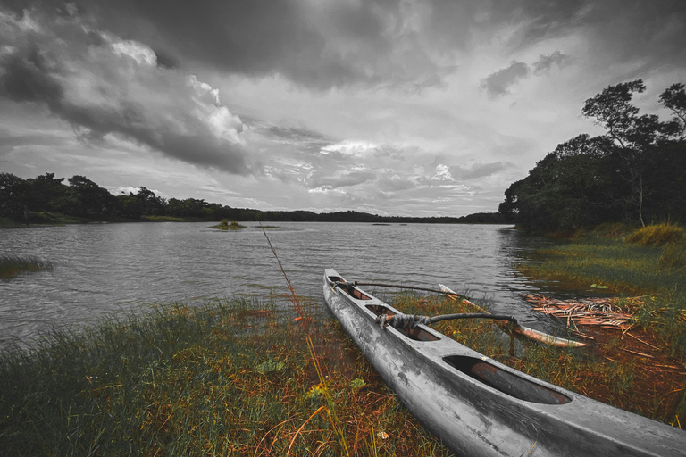 From Colombo or Kandy: Sigiriya Rock Fortress Day Tour