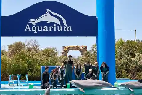Cancun: Bilet do interaktywnego akwarium