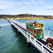 The Luxe South Australia Experience Full-Day Tour