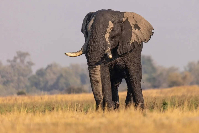 Mosi-oa-Tunya National Park Private Family Safari