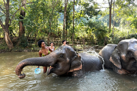 Chiang Mai 2-Day: Good Morning Elephant & Overnight Homestay