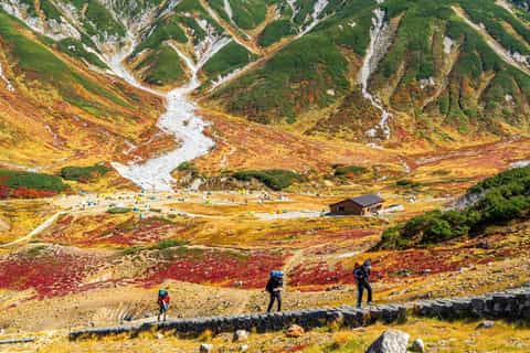 From Tokyo: Tateyama Kurobe Alpine Route Overnight Bus Tour - Image 3