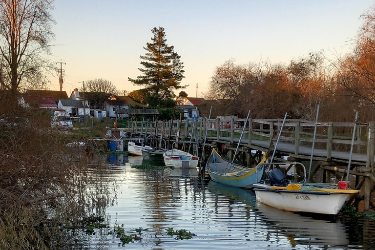 Valada: 1 hour boat trip, guided tour