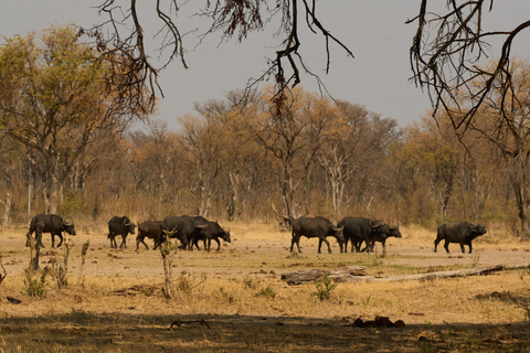 4-Day Four Countries - Zimbabwe, Zambia, Botswana & Namibia