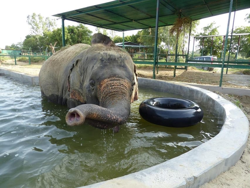 Elephant Conservation and Care Centre (Wildlife SOS)