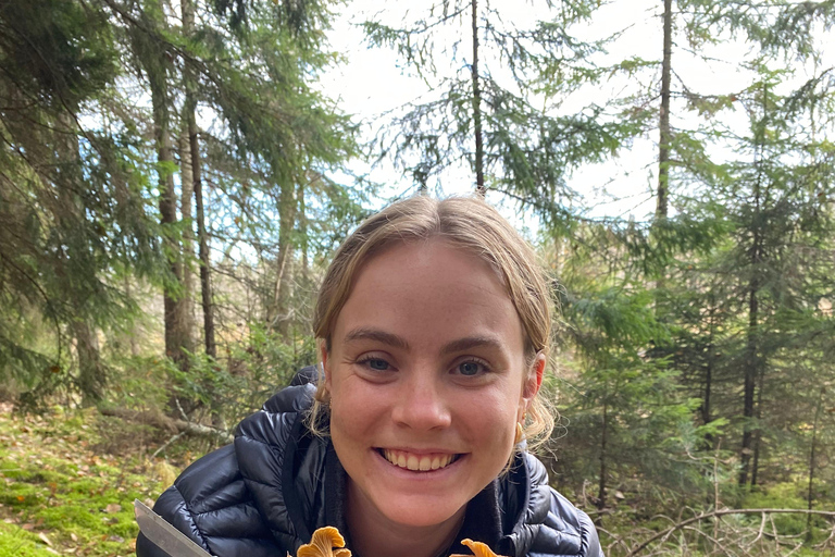 Stockholm: Mushroom and Berries Foraging Tour with Lunch