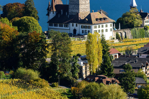 Conductor privado todo el día desde Interlaken&gt;Thun, Spiez, Lago