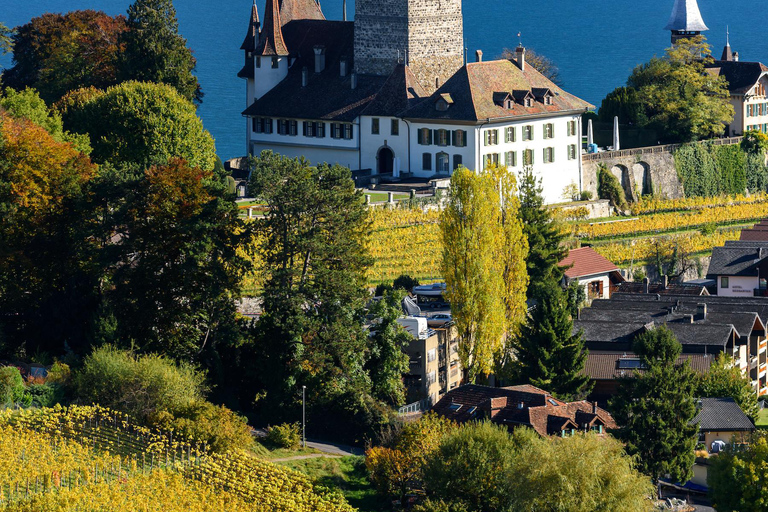 Privé-chauffeur de hele dag van Interlaken&gt;Thun, Spiez, Meer