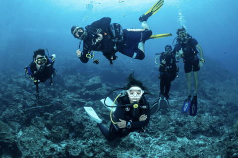 Pattaya: Fun dives in Pattaya and Samaesarn with transfer 3 Dives