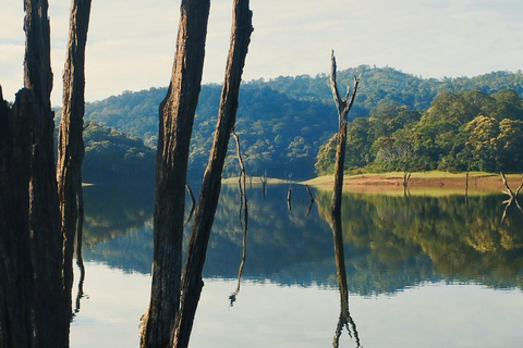 Lo más destacado de la Excursión a Kerala desde Kochi