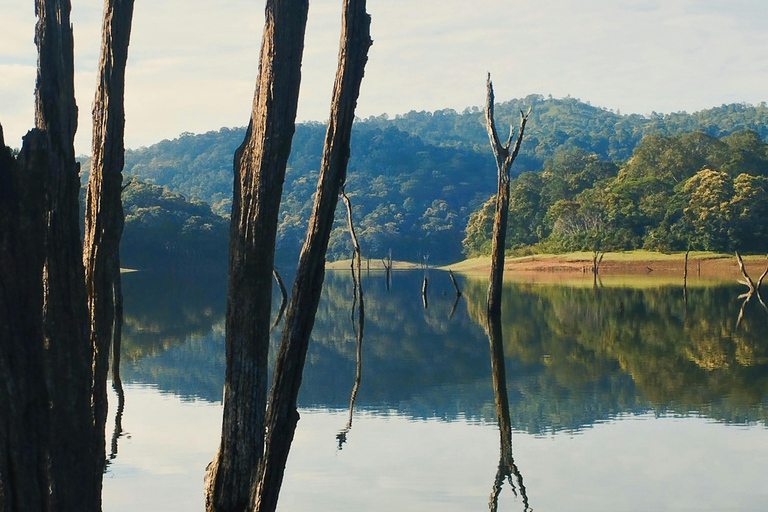 Destaques da excursão a Kerala com partida de Kochi