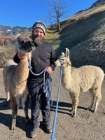 Triesenberg, marche avec un lama dans les belles montagnes - Housity