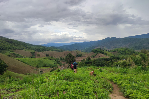 Chiang Rai: Jungle Adventure-Group Trekking & Bamboo Cooking