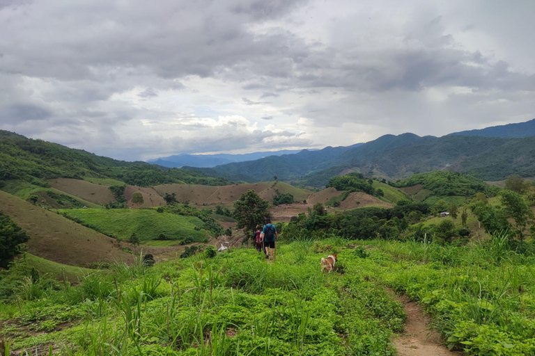 Chiang Rai: Jungle Adventure-Group Trekking & Bamboo Cooking