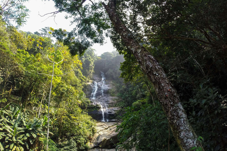 Rio de Janeiro: Zwiedzanie z przewodnikiem do Parku Narodowego Tijuca