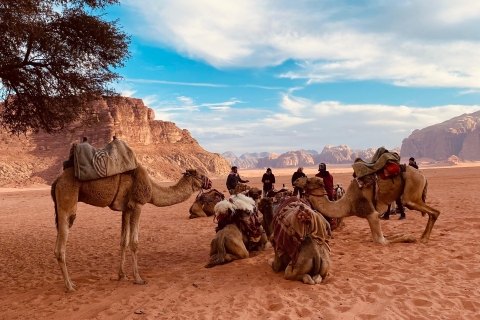Wadi Rum: Night with your choice of experience Wadi Rum: Night with horseback riding