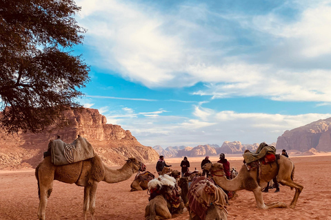 Wadi Rum: Camel ride with traditional tea tasting