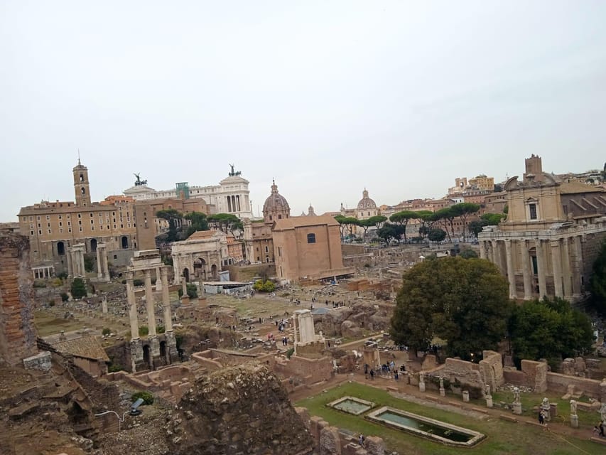 Exclusive tour of Ancient Rome and Domus Tiberiana | GetYourGuide