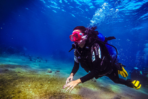 Scuba Diving in Aqaba and scuba Diving courses