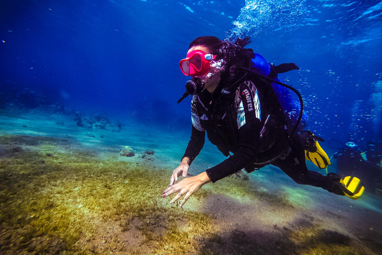 Mergulho em Aqaba e cursos de mergulho