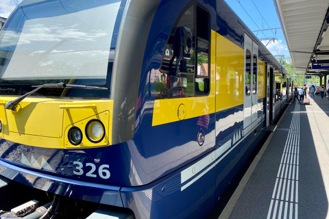 De Zurique: Grindelwald e a viagem de 1 dia para a primeira caminhada no penhasco