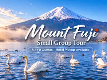 Small-Group Mt Fuji and Lake Kawaguchi Tour with Pickup