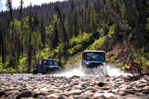 Hatcher Pass: Heated & Enclosed ATV Tours - Open All Year!