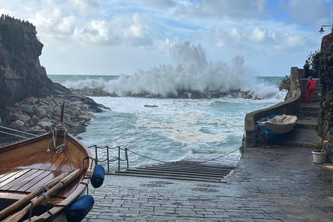 Exclusieve Cinque Terre dagtour per veerboot met stop in Pisa