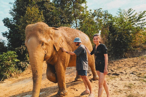 Rundtur i Kambodjas elefantreservat och Banteay Srey-templet