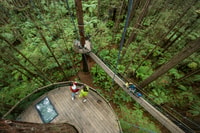 Rotorua, Redwoods Höhe & Tag/Nacht Treewalk Combo - Hizvo