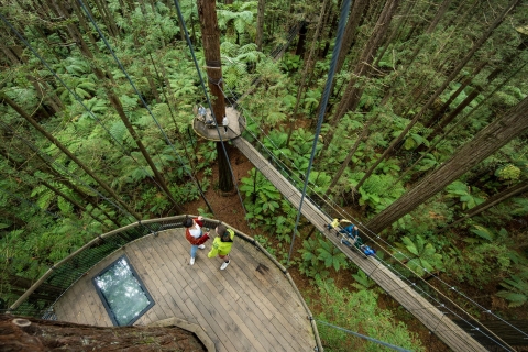 Rotorua : Redwoods Altitude et randonnée dans les arbres de jour et de nuit