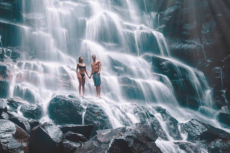 Ubud: Monkey Forest & Waterfalls With Bali Swing Tour Ubud Private Tour Without Ticket