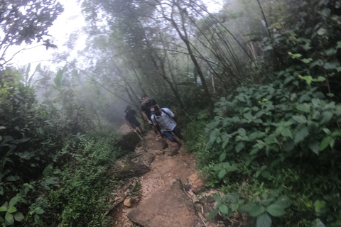 Kandy : Chutes d&#039;eau et visite d&#039;un village local avec déjeuner