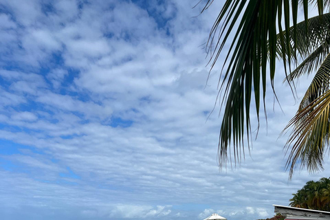 Excursión de un día a la playa de Doctors Cave, Margaritaville y de comprasDesde Falmouth/ Trelawny