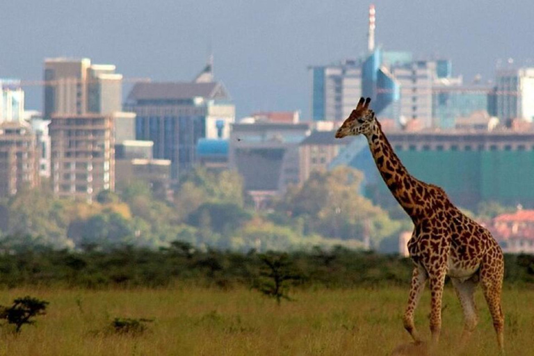 Nairobi: National Park, Elephant Orphanage & Giraffe Center