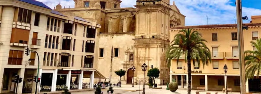 Elche : visite guidée de la basilique Santa María et ascension de la tour