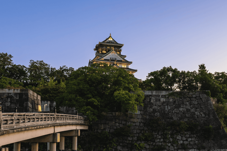 Osaka City Private Sightseeing Tour With Hotel Pick N Drop