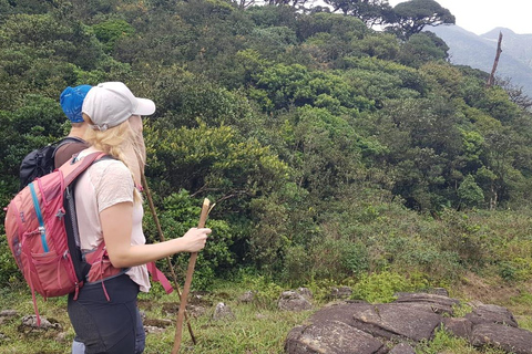 纳克尔斯峰探险和希洛亚村露营 2 日游