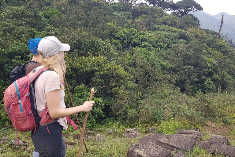 纳克尔斯峰探险和希洛亚村露营 2 日游