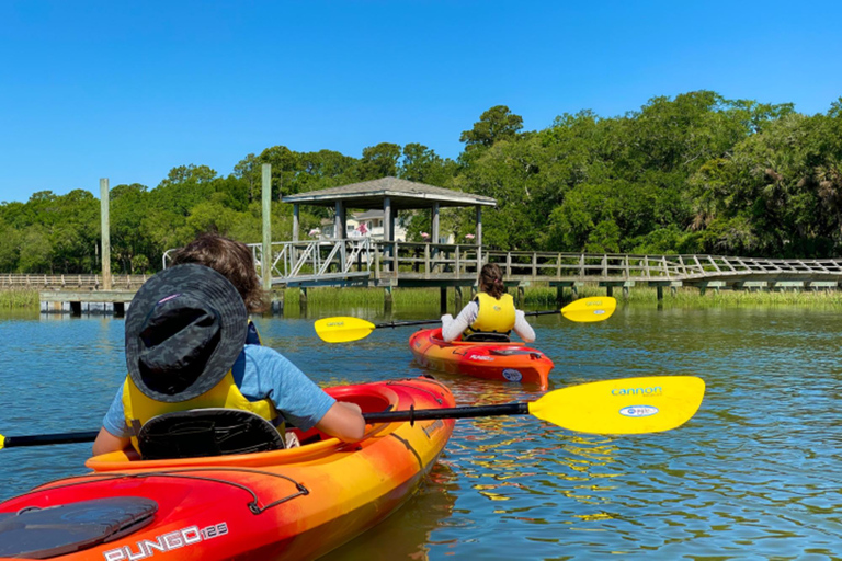 Hilton Head: Guided Kayak Nature Tour with Wildlife Spotting Adult Single Kayaks