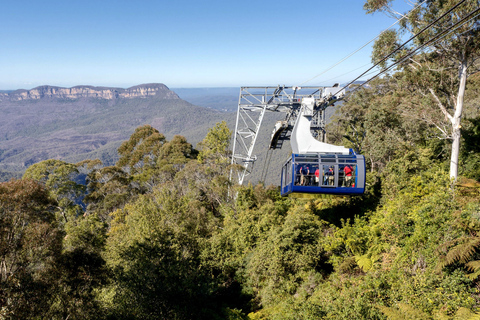 Blue Mountains Tour w/Lunch: Scenic World, Zoo & Koala Photo