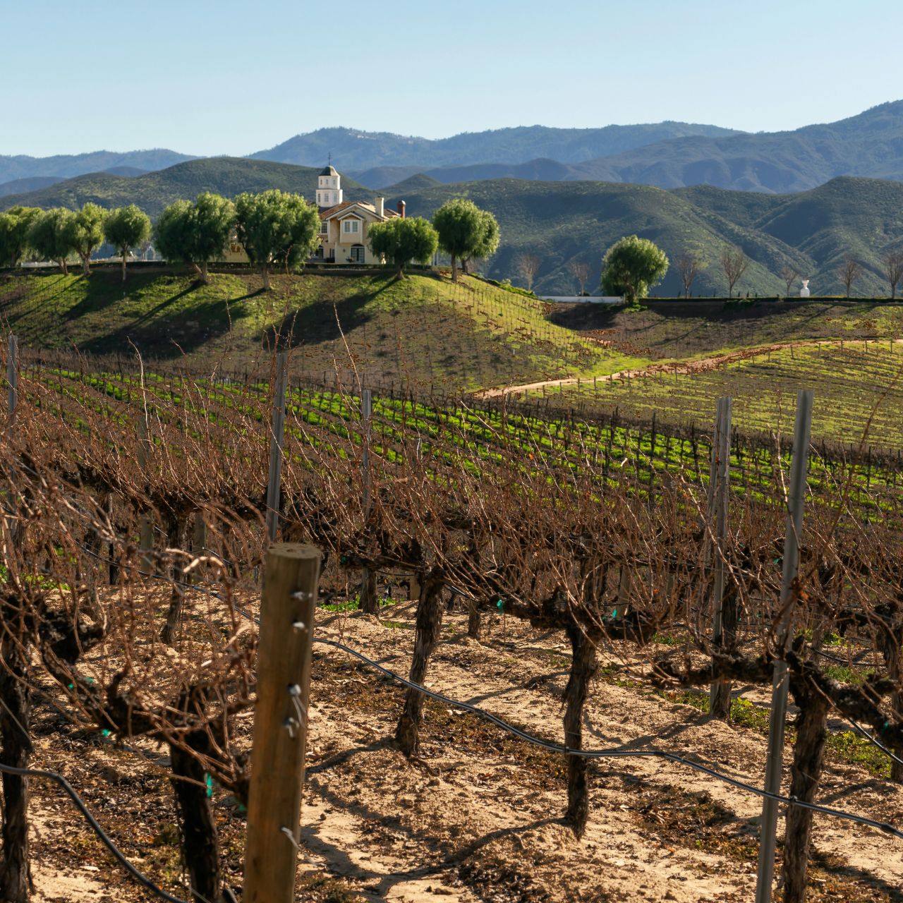 San Diego: Private Weintour durch das Temecula Valley