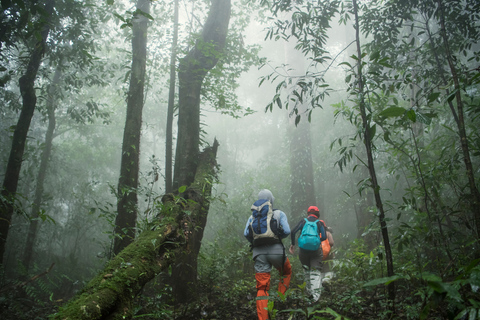 From Kandy: 4-Day Sri Lanka Hill Country Tour with Udawalawe