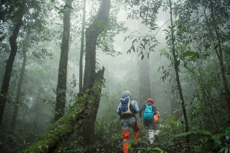 From Kandy: 4-Day Sri Lanka Hill Country Tour with Udawalawe